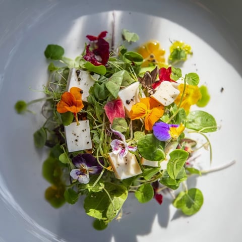 Lush greenery partially hides creamy cubes in this The Secret Garden appetizer, ready to forage.